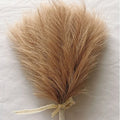 Fluffy Pampas Grass Bouquet