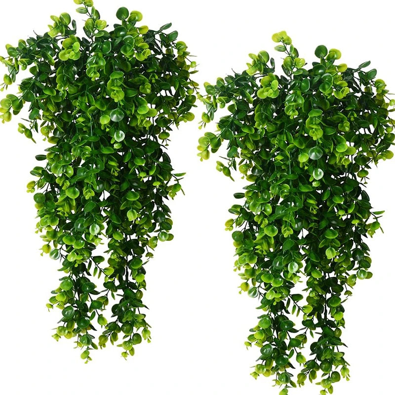 Trailing Greenery Hanging Plant