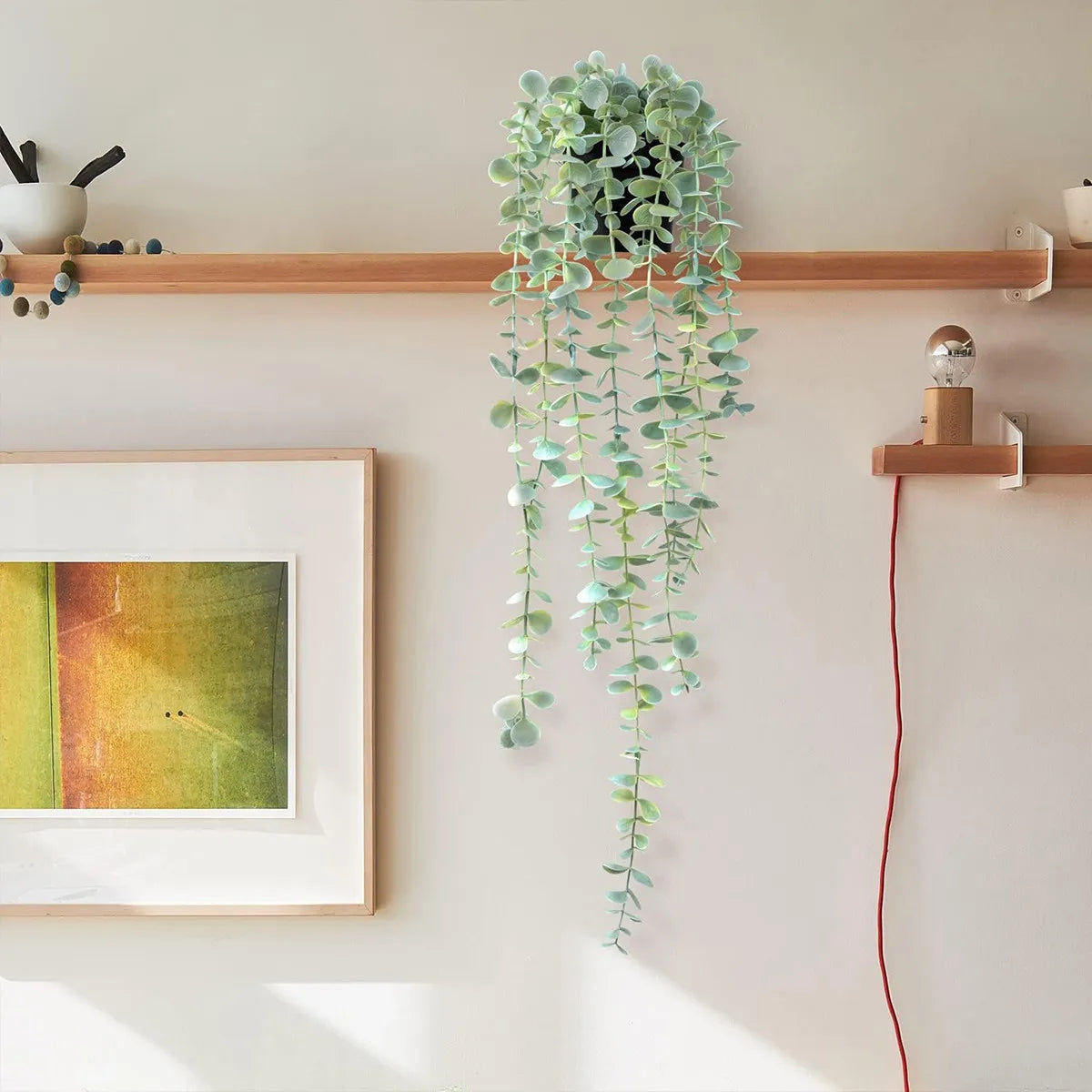 Hanging Eucalyptus Vine