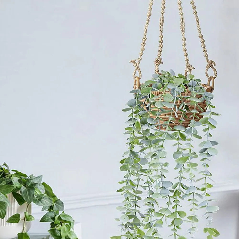 Hanging Eucalyptus Vine