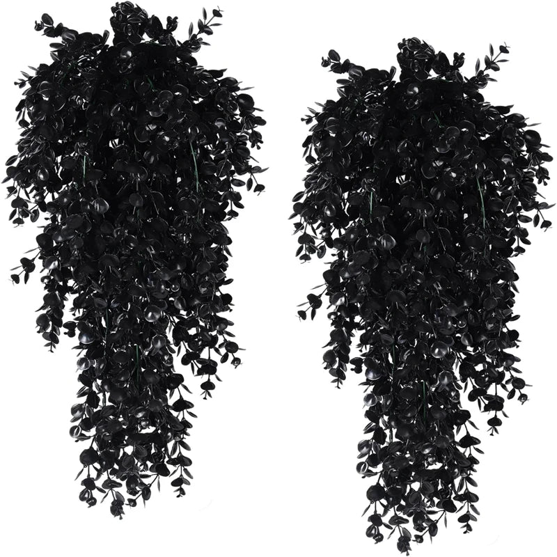 Trailing Greenery Hanging Plant