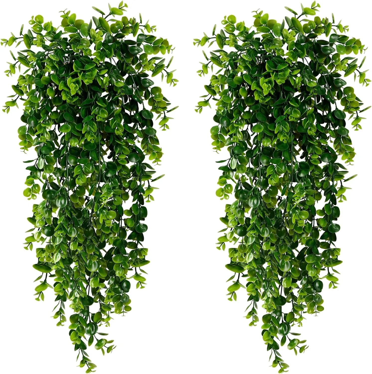 Trailing Greenery Hanging Plant