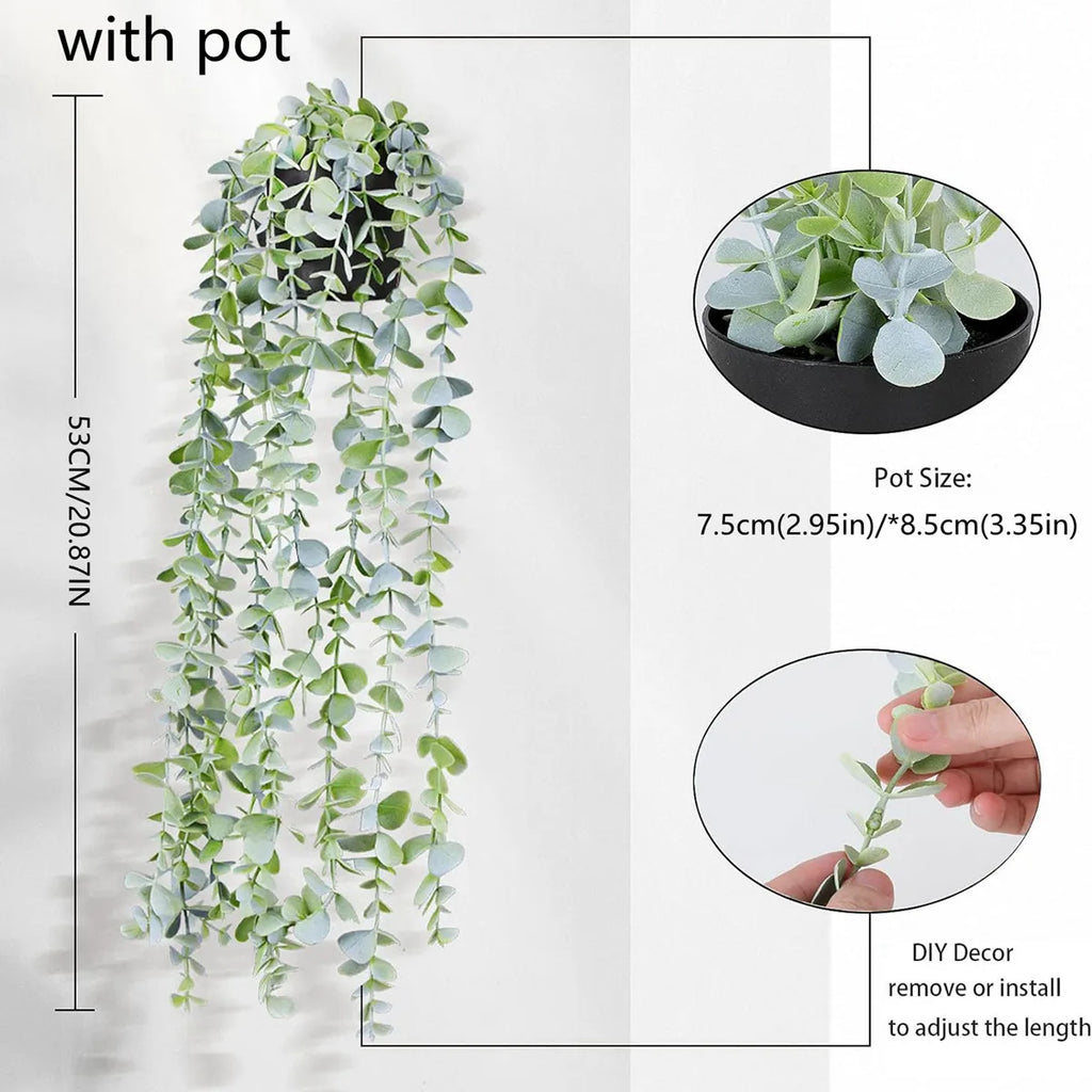 Hanging Eucalyptus Vine